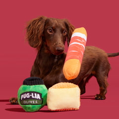 Primo Pawsto