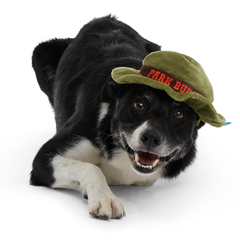Park Buddy Hat Plush Wearable Dog Toy