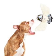 Perry the Peregrine Falcon Plush Tug Dog Toy