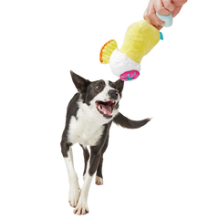 Cocktail Club, Plush Cocktail Monthly Dog Toys