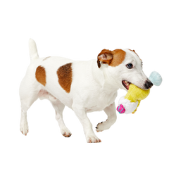 Cocktail Club, Plush Cocktail Monthly Dog Toys