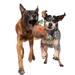 Plaidamoose Super Chewer Durable 2-in-1 + Fetch Dog Toy