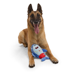 Pool Shark Shane Plush Tug Dog Toy
