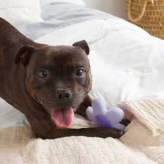 Power Flower Super Chewer Durable Gnaw Dog Toy