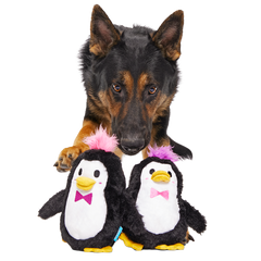 Pride March of the Penguins Plush Multi-Part Dog Toy