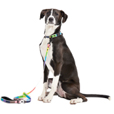 Pride Walking Gear Bundle