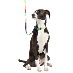 Pride Walking Gear Bundle