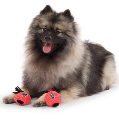 Pupper Lanterns Plush Tug Dog Toy