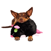 Rat-A-Chewy Plush Extra-Large + 2-in-1 Rip and Reveal Dog Toy