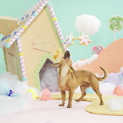 Flake N' Bake Cookies Plush Multi-Part Dog Toy