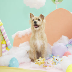 Flake N' Bake Cookies Plush Multi-Part Dog Toy