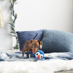Puffer Puffin Plush Multi-Part + Enrichment Dog Toy