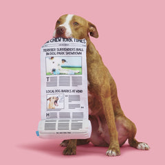 The Chew York Times Plush Tug + Enrichment Dog Toy