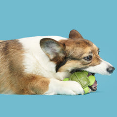 Myrtle Sea Turtle Super Chewer Durable Gnaw Dog Toy