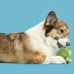 Myrtle Sea Turtle Super Chewer Durable Gnaw Dog Toy