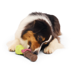 Harry's Bogey™ Wand Super Chewer Durable Gnaw Dog Toy