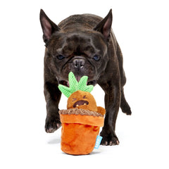 Mandrake™ Plush Tug + Multi-Part Dog Toy