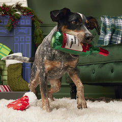 Jolly Juice Stocking Plush Multi-Part Dog Toy