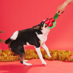 Mistletug Plush Tug Dog Toy