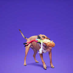 Shaggy™ Skelly
