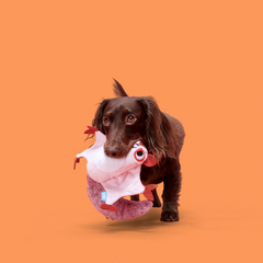 Sheila Sugar Glidah Plush Tug Dog Toy