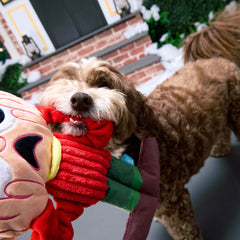 Screamin' Kevin Extra-Large + Tug Dog Toy