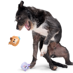 The Boar Bros Plush Multi-Part Dog Toy