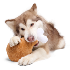 Mammoth Drumstick Plush Extra-Large Dog Toy