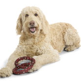 Chocolick Pretzel Plush Extra-Large Tug Dog Toy
