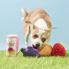 Licknic Pack Plush Multi-Part Tug Dog Toy