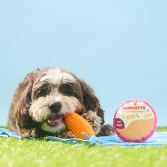 Carrot & Hummutts Plush Multi-Part Dog Toy