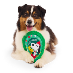 Disc The Halls Plush Fetch Dog Toy