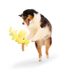 Reinbird Plush Extra-Large Dog Toy