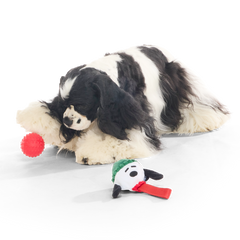 Blizzard Beagle Durable Super Chewer Tug Dog Toy