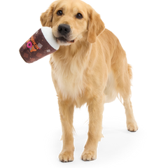 Dunkin'® Cold Brew Plush Dog Toy