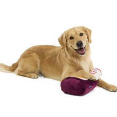 Big Dog BarkBQ Sauce Plush Extra-Large Dog Toy