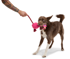 Fahari Flamingo Plush Tug Dog Toy