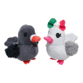 Coo Amore