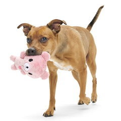 Lover Bear Plush Dog Toy