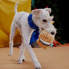More S'mores Plush Tug Dog Toy