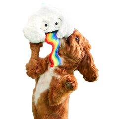 Loud and Proud Cloud Plush Tug Dog Toy