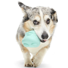 Lover Beast Super Chewer Durable 2-in-1 Rip and Reveal Dog Toy