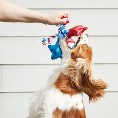 Star Spangles Plush Multi-Part Tug Dog Toy