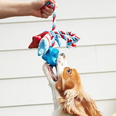 Star Spangles Plush Multi-Part Tug Dog Toy