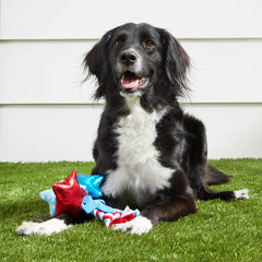 Star Spangles Plush Multi-Part Tug Dog Toy