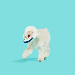 Shuck N' Chuck Toysters Plush Multi-Part Dog Toy