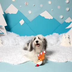 Gingershred Man Plush Tug Dog Toy