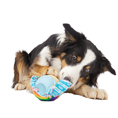 Rainbow-wow Sherbert Super Chewer Durable 2-in-1 Dog Toy