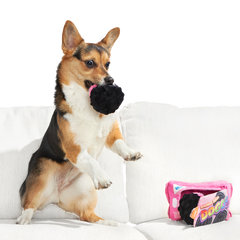 Rainbow Dogo Dunkers Plush Multi-Part + Enrichment Dog Toy