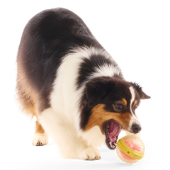 Remembrall™ Super Chewer Durable Fetch Dog Toy